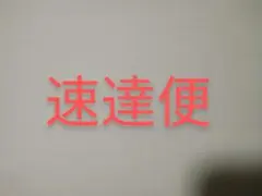 速達便