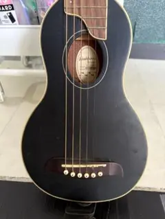 2025年最新】washburn アコースティックギターの人気アイテム
