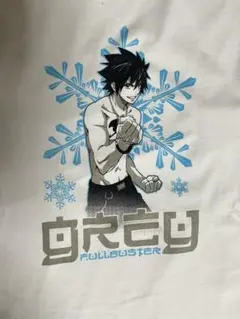 フェアリーテール　tシャツ　グレイ単体