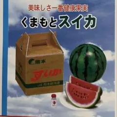 ふるさと直送便　熊本県産 すいか　内袋未開封　リーメント　ぷちサンプルシリーズ