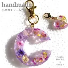 Item thumbnail for item ae3bce6a-12d3-481d-ac0a-c289fa0a5914