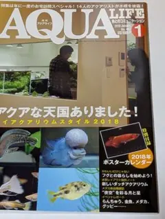 月刊アクアライフ