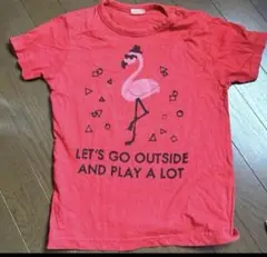 Item thumbnail for item 4e4d393d-76ee-466b-b3e7-ce915d93e22d