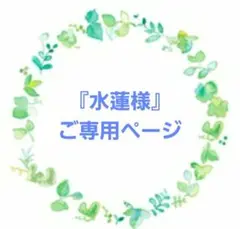 CANADA GOOSE カナダグース ブロンテ ダウン レディース Mサイズ