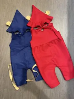 Item thumbnail for item 07068cc2-d628-4a71-9f3d-1727cc534cbe