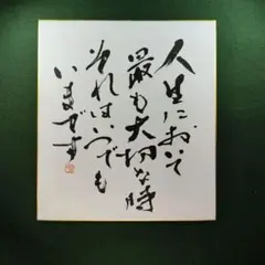 書道作品　書道アート　人生において…　　色紙