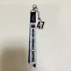 北海道コンサドーレ札幌 ボンフィン 西野奨太