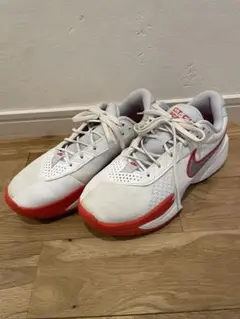 NIKEバッシュ24.5㎝