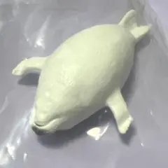 ガチャガチャ あざらし(ごろーん)