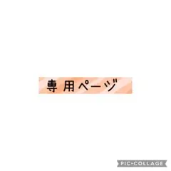 専用ページ