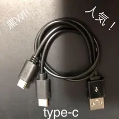 タイプc充電ケーブル-31