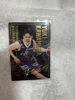 Item thumbnail for item 4d358b6e-02f4-472a-9b1d-ea6607b03ffc