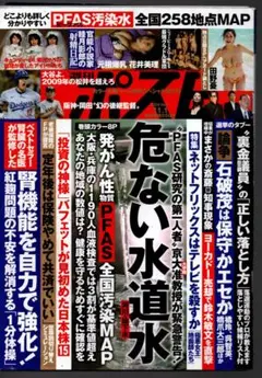 《ひ13》週刊ポスト＆2024年】＊333