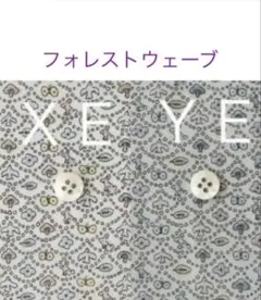 セール ♪２枚＊30×50cm☆＊リバティ フォレストウェーブ ミナペルホネン