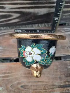 カ*ん様 錦鉢　風蘭　富貴蘭　オモト　万年青　園芸　長生蘭　インテリア　植物　植 錦鉢 風蘭 富貴蘭 オモト 万年青 園芸 長生蘭 インテリア 植物