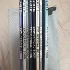 Item thumbnail for item 7bc836fd-c9bb-45ae-bb16-3c3cbdeb5557