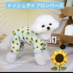 Item thumbnail for item 66a3a0f2-776d-45c4-b98e-21e6379bf0bc