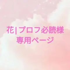 専用ページ