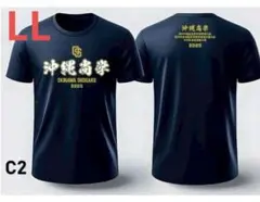 Item thumbnail for item 42e4a265-8cb7-4a41-af5f-c5d975828d98
