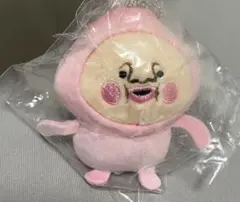 こびとづかんのぬいぐるみ　ガチャ　カクレモモジリ