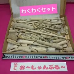流木セットno.345
