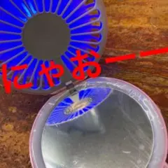 【換気に】にゃおーにゃおー。光るねこちゃん扇風機。