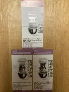 【週末セール!】宮城壮太郎展、チケット3枚