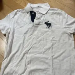 ⭐️まーピンさん専用⭐️Abercrombieポロシャツ M ホワイト