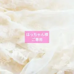 はっちゃん様ご専用