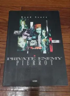 新品未開封！廃盤CD PIERROT ／ PRIVATE ENEMY 初回盤 PIERROTピエロCD プライベートエネミー - メルカリ