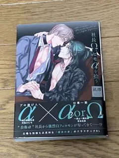 社長Ω、ヒモαを拾う。　凪澤　マンガカード