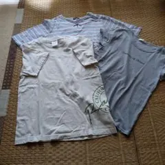 半袖Tシャツ ３枚セット　Mサイズ