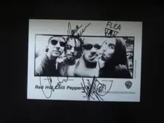 A4 額付き ポスター Red Hot Chili Peppers レッチリ
