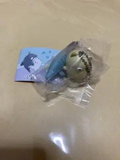 須磨シーワールド　すみっコぐらし