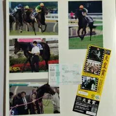 第130回　天皇賞（GⅠ）　 ゼンノロブロイの単勝当たり馬券　当日入場券他 ⑩