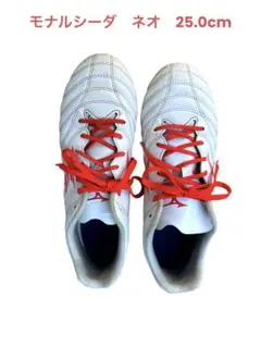 サッカー　スパイク　ミズノ　モナルシーダネオ　25.0cm