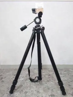 Item thumbnail for item 99713a74-a213-49f8-b41f-d6513a8aba5f