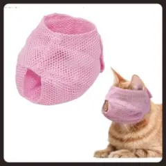 Item thumbnail for item 8ccc1a05-2b50-461c-b1ec-50fdd4a7ed50
