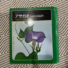 本　アサガオ　たねからたねまで