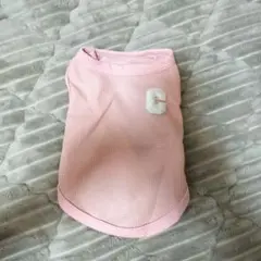 Item thumbnail for item b74380e2-3314-455c-befa-61837c1e1cee