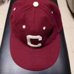 TODD SNYDER × Champion✕EBBETS FIELD