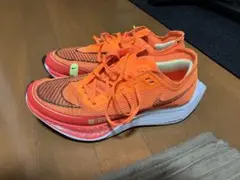 Item thumbnail for item 29c83a1d-c36b-4237-baab-72a7270ac99c