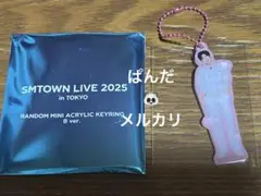 SMTOWN popup キーホルダー B シオン　ウィッシュ