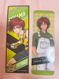新テニスの王子様 テニプリ 遠山金太郎 サマーフェア アニメイト 特典 ロンステ