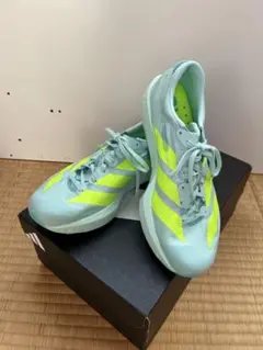 Item thumbnail for item 0594e777-a94d-47d7-812a-51776b4a26d6