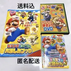 てれびげーむマガジン スーパーマリオ DVD 図鑑 冊子