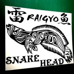 Item thumbnail for item 127370bd-4781-41c0-8a3c-7dfdf80d691e