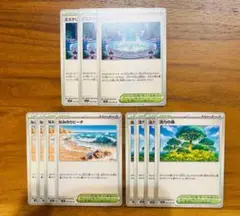 ポケモンカード 活力の森 なみのりビーチ ミステリーガーデン 11枚セット