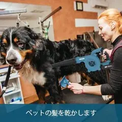 【匿名配送✨】ブロワー充電式 コードレスハイパワーブロアー 20V 洗車 清掃