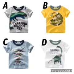 男の子半袖Tシャツ2枚組⭐️恐竜柄　新品　AとJ130